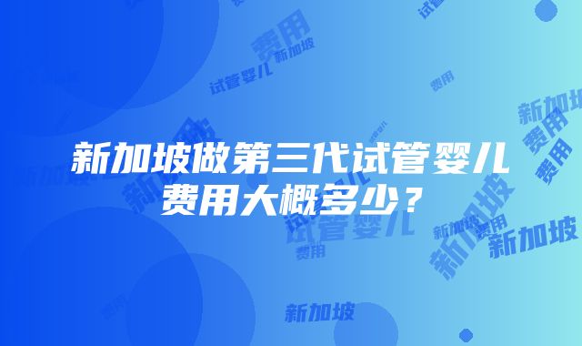 新加坡做第三代试管婴儿费用大概多少？