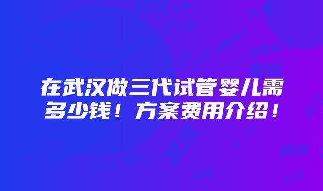 在武汉做三代试管婴儿需多少钱！方案费用介绍！