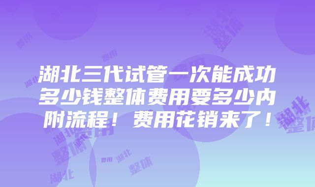 湖北三代试管一次能成功多少钱整体费用要多少内附流程！费用花销来了！