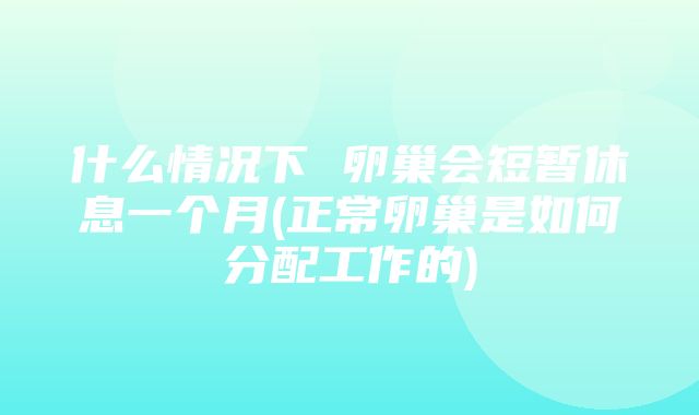 什么情况下 卵巢会短暂休息一个月(正常卵巢是如何分配工作的)