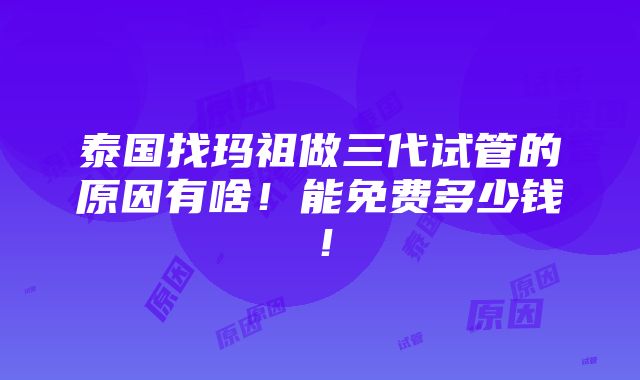 泰国找玛祖做三代试管的原因有啥！能免费多少钱！