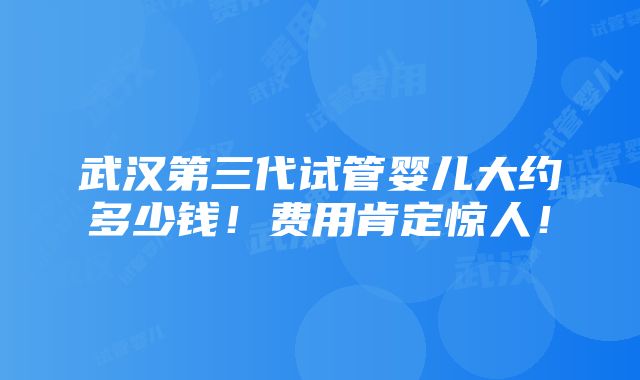 武汉第三代试管婴儿大约多少钱！费用肯定惊人！