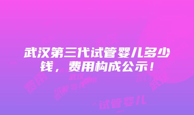 武汉第三代试管婴儿多少钱，费用构成公示！