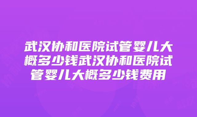 武汉协和医院试管婴儿大概多少钱武汉协和医院试管婴儿大概多少钱费用