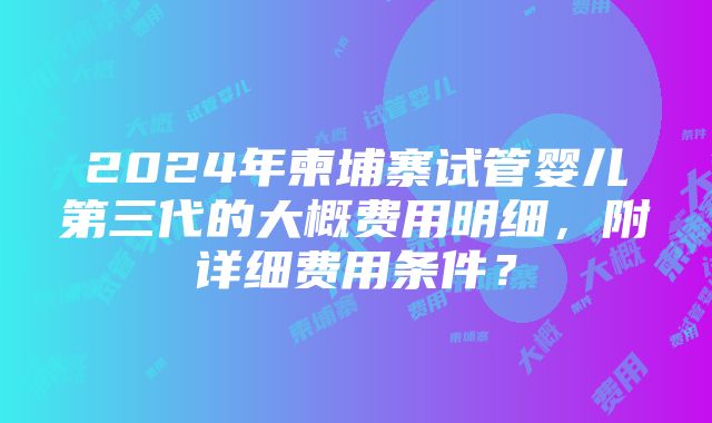 2024年柬埔寨试管婴儿第三代的大概费用明细，附详细费用条件？