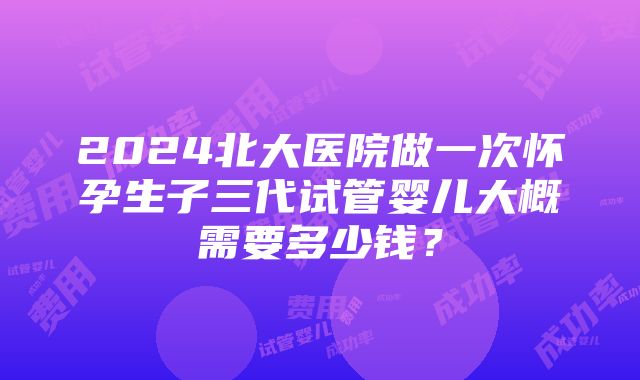 2024北大医院做一次怀孕生子三代试管婴儿大概需要多少钱？