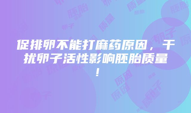 促排卵不能打麻药原因，干扰卵子活性影响胚胎质量！