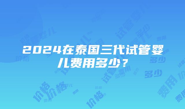 2024在泰国三代试管婴儿费用多少？