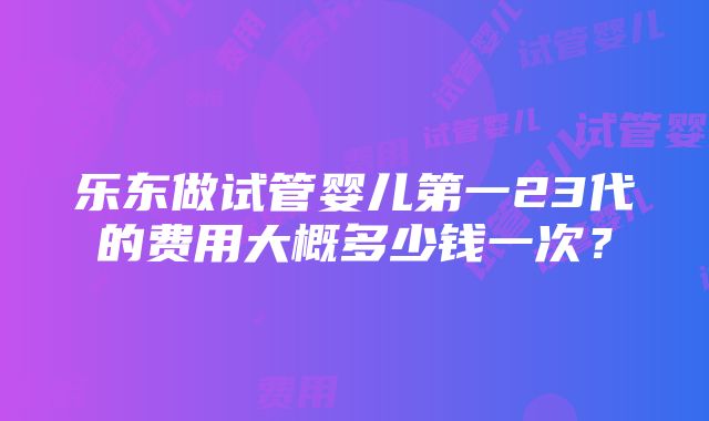 乐东做试管婴儿第一23代的费用大概多少钱一次？