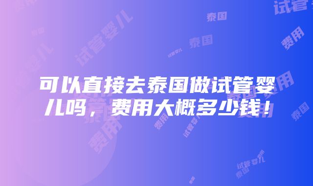 可以直接去泰国做试管婴儿吗，费用大概多少钱！