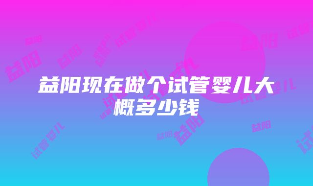 益阳现在做个试管婴儿大概多少钱