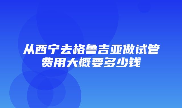 从西宁去格鲁吉亚做试管费用大概要多少钱