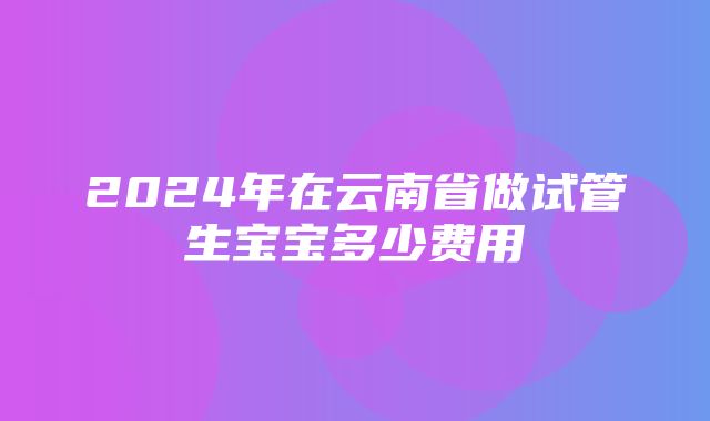 2024年在云南省做试管生宝宝多少费用