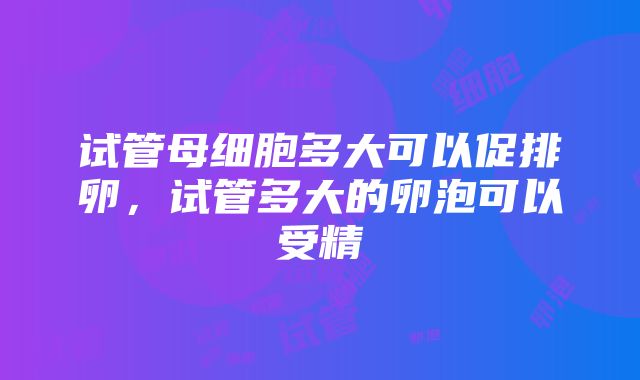 试管母细胞多大可以促排卵，试管多大的卵泡可以受精