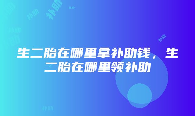 生二胎在哪里拿补助钱，生二胎在哪里领补助