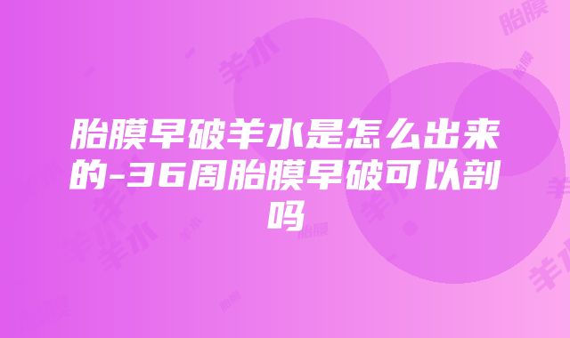 胎膜早破羊水是怎么出来的-36周胎膜早破可以剖吗