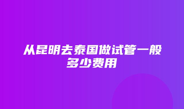 从昆明去泰国做试管一般多少费用