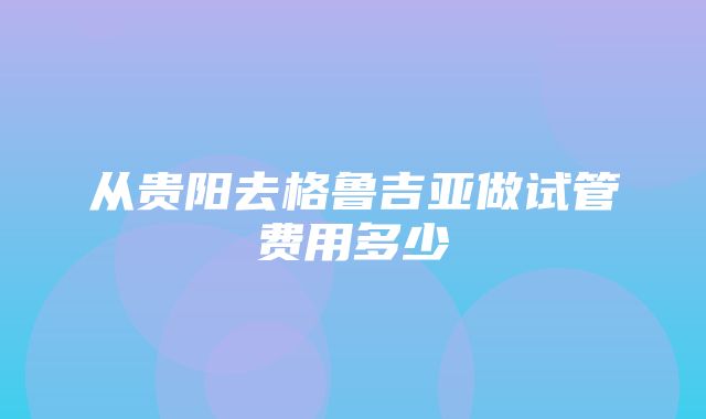 从贵阳去格鲁吉亚做试管费用多少