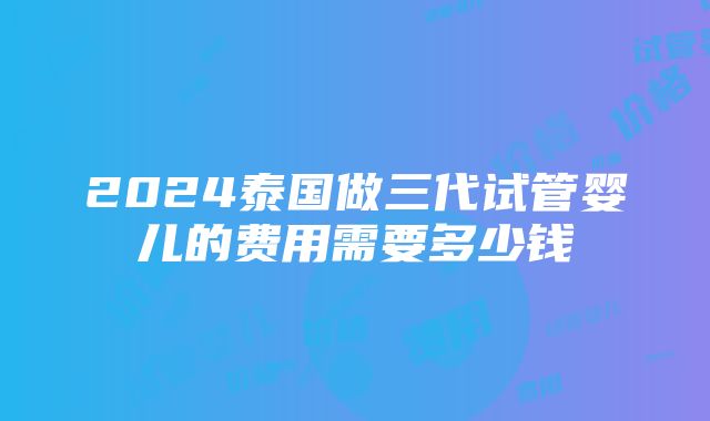 2024泰国做三代试管婴儿的费用需要多少钱