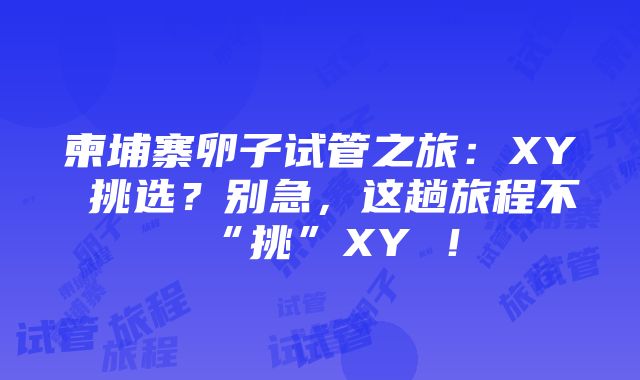 柬埔寨卵子试管之旅：XY 挑选？别急，这趟旅程不“挑”XY ！