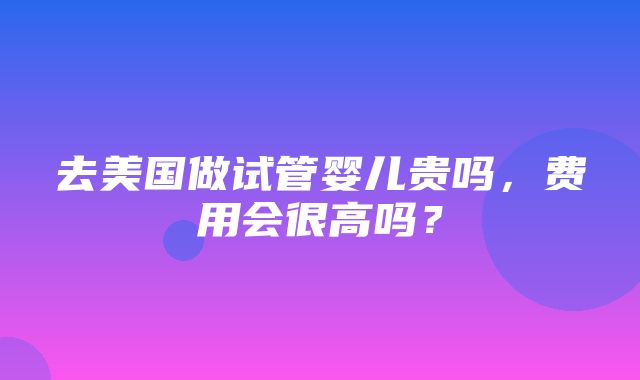 去美国做试管婴儿贵吗，费用会很高吗？