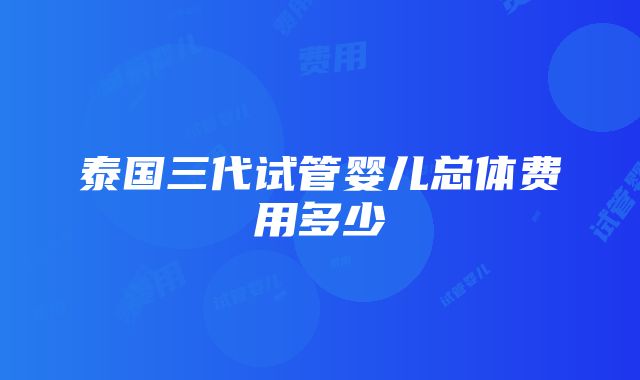 泰国三代试管婴儿总体费用多少