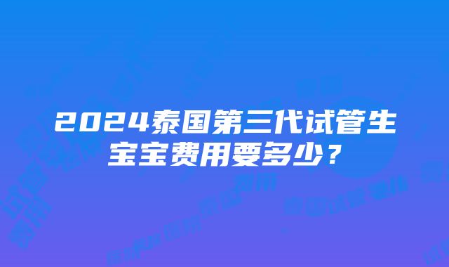 2024泰国第三代试管生宝宝费用要多少？