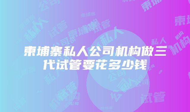 柬埔寨私人公司机构做三代试管要花多少钱