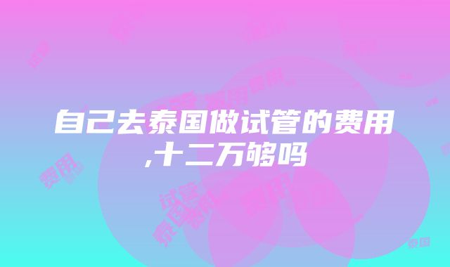 自己去泰国做试管的费用,十二万够吗