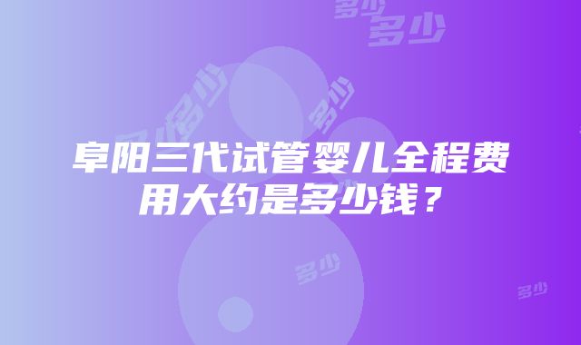 阜阳三代试管婴儿全程费用大约是多少钱？