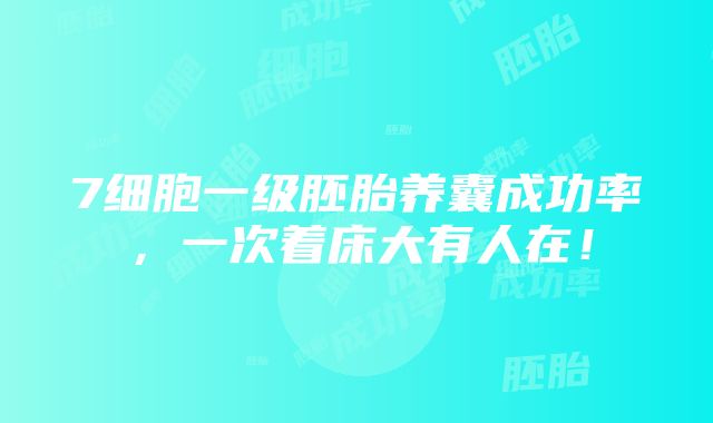 7细胞一级胚胎养囊成功率，一次着床大有人在！