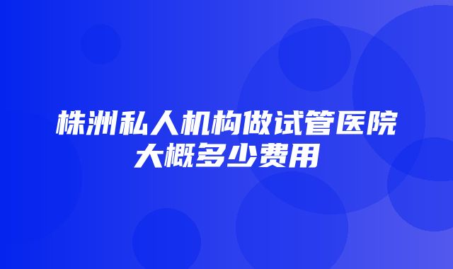 株洲私人机构做试管医院大概多少费用