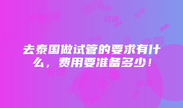 去泰国做试管的要求有什么，费用要准备多少！