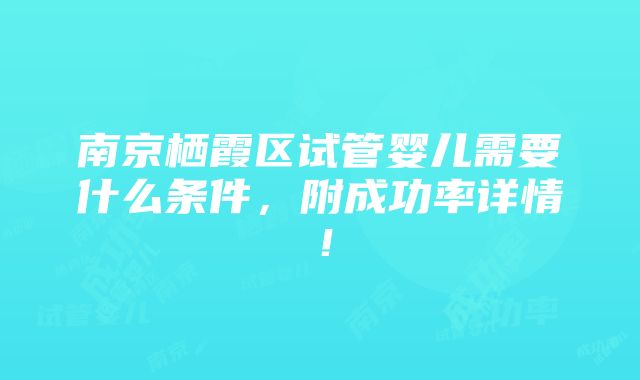 南京栖霞区试管婴儿需要什么条件，附成功率详情！