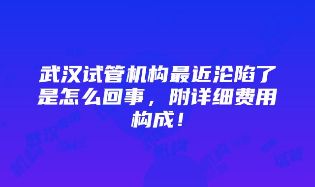 武汉试管机构最近沦陷了是怎么回事，附详细费用构成！