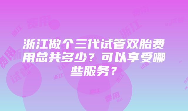 浙江做个三代试管双胎费用总共多少？可以享受哪些服务？