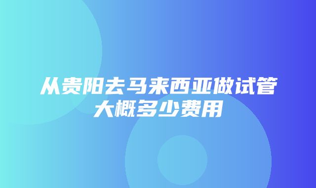 从贵阳去马来西亚做试管大概多少费用