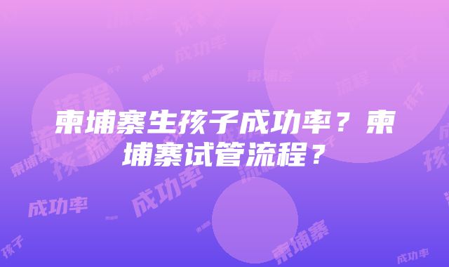 柬埔寨生孩子成功率？柬埔寨试管流程？