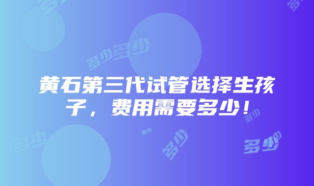 黄石第三代试管选择生孩子，费用需要多少！