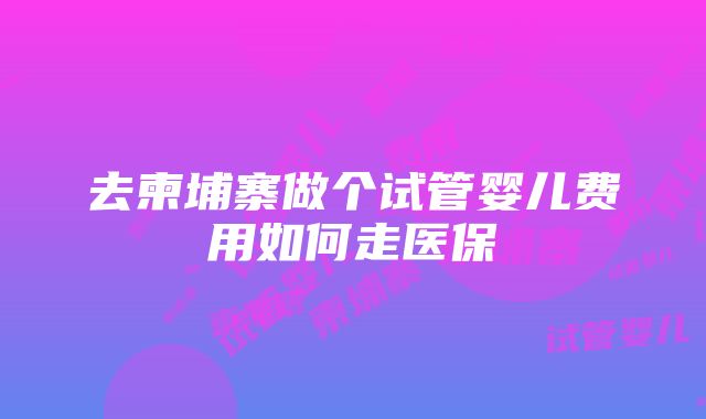 去柬埔寨做个试管婴儿费用如何走医保