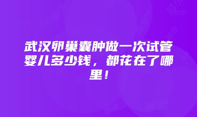 武汉卵巢囊肿做一次试管婴儿多少钱，都花在了哪里！