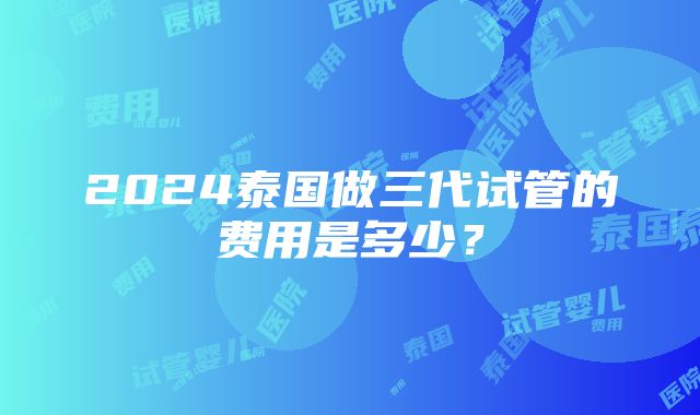 2024泰国做三代试管的费用是多少？