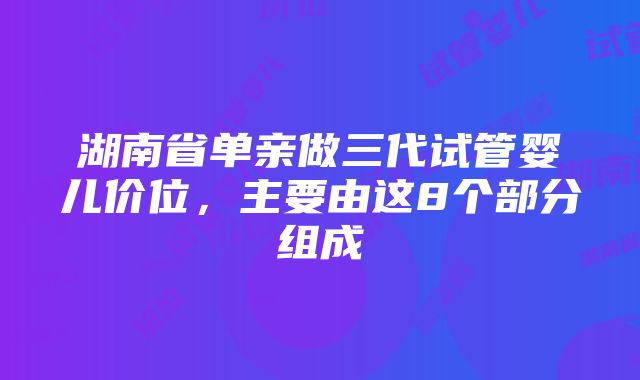 湖南省单亲做三代试管婴儿价位，主要由这8个部分组成