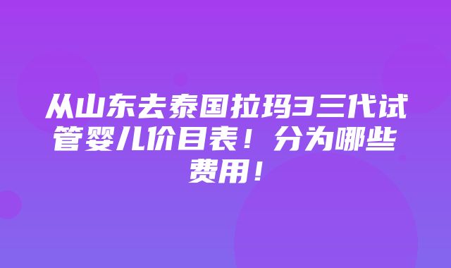 从山东去泰国拉玛3三代试管婴儿价目表！分为哪些费用！