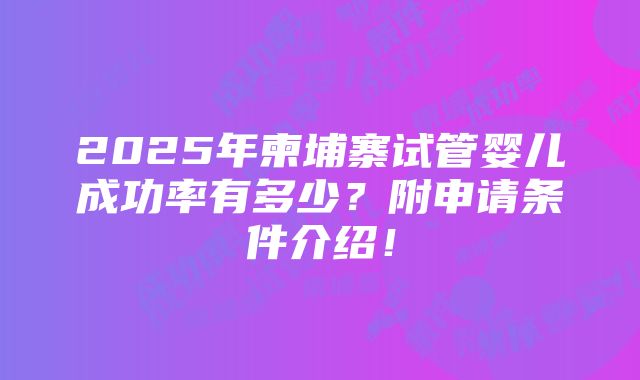 2025年柬埔寨试管婴儿成功率有多少？附申请条件介绍！