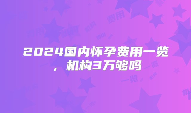 2024国内怀孕费用一览，机构3万够吗