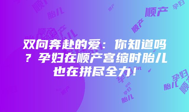 双向奔赴的爱：你知道吗？孕妇在顺产宫缩时胎儿也在拼尽全力！