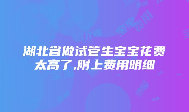 湖北省做试管生宝宝花费太高了,附上费用明细