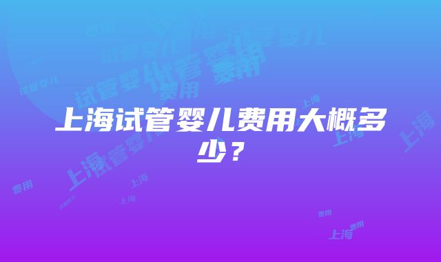 上海试管婴儿费用大概多少？