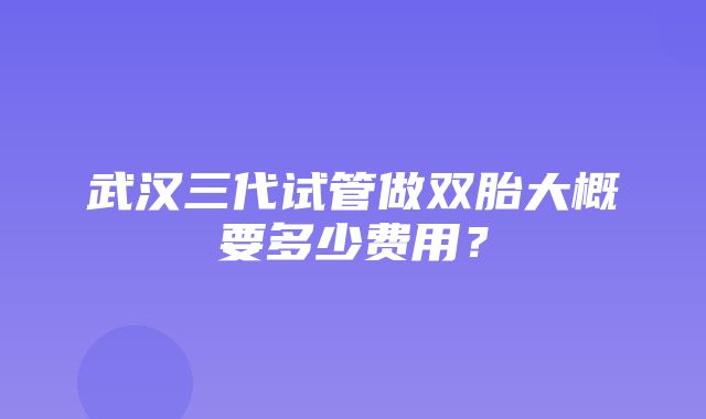 武汉三代试管做双胎大概要多少费用？